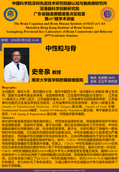 中性粒与骨